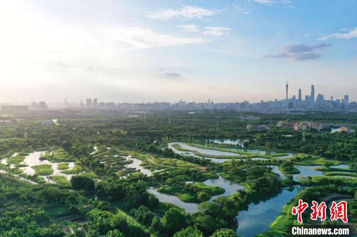 广州市内的湿地公园(资料图)广州市文化广电旅游局供图 广州市文化广电旅游局供图 摄